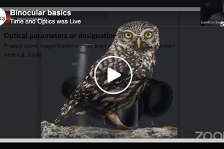 Video: Binocular Basics, Why Go Premium, and Choosing the Binocular that Will Suit Your Needs