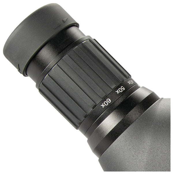 Bushnell Engage 20-60x80