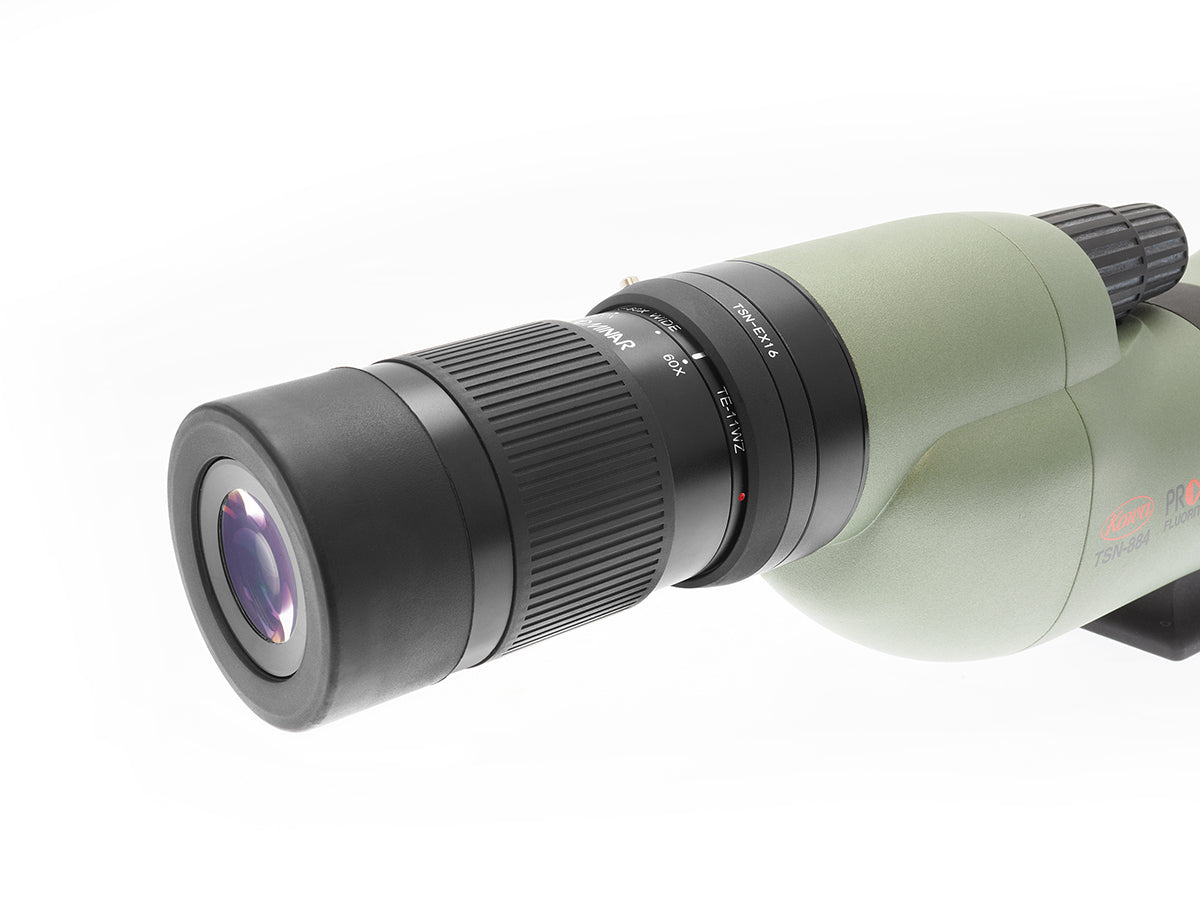 Kowa TSN-EX16 1.6X Extender for TSN-99/88/66 Series | Time and Optics